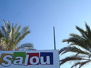 20060404001015-salow.jpg