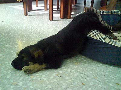 20071014131029-bender.jpg