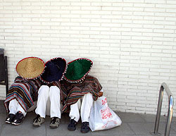 mariachis.jpg
